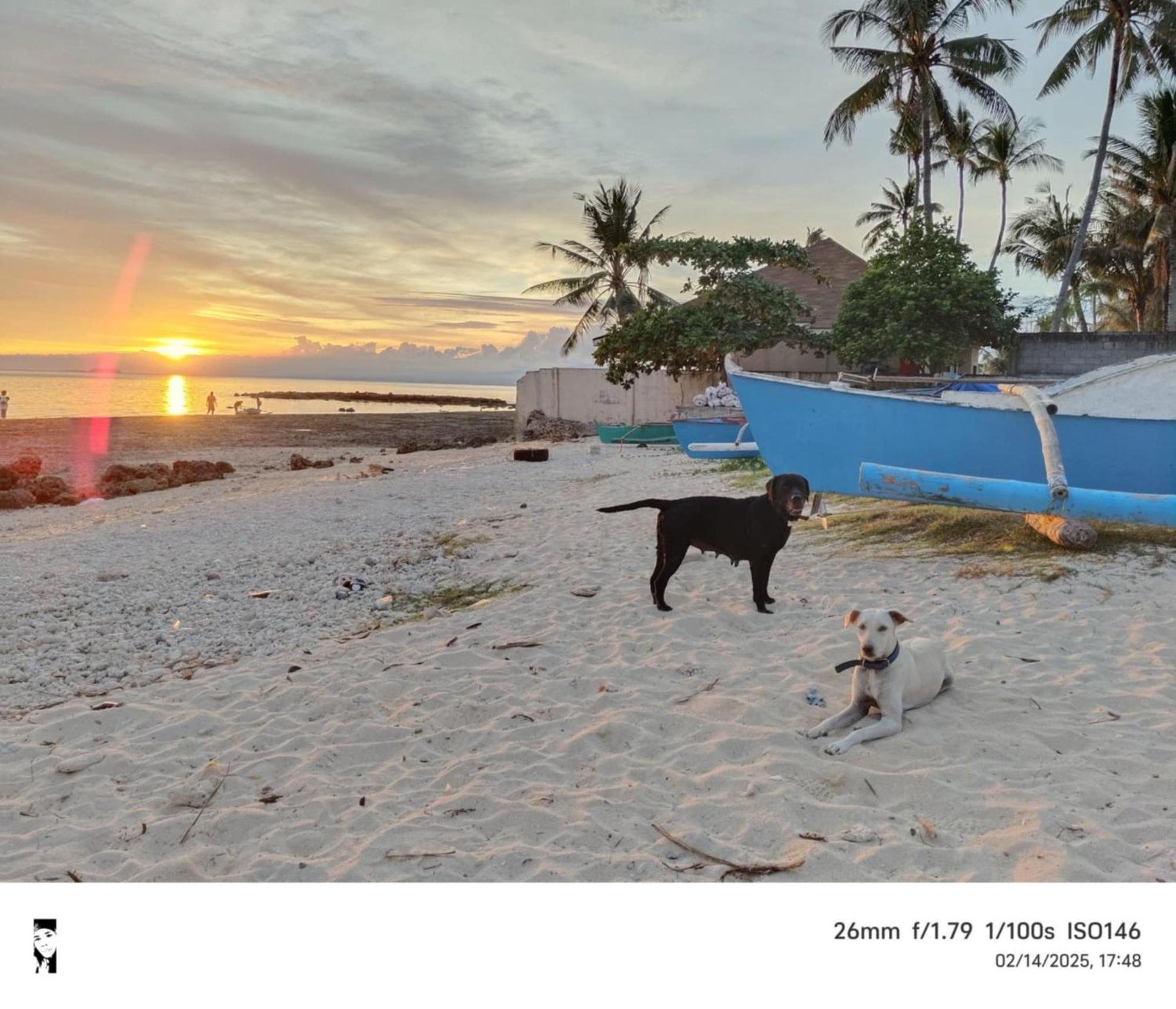 Kobe'S Beachfront Haven Siquijor Exterior foto